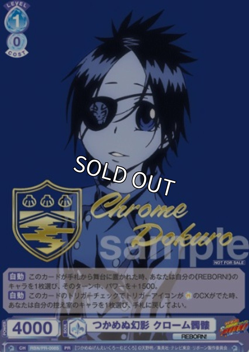 画像1: PR【箔押し】　 つかめぬ幻影 クローム髑髏 (1)