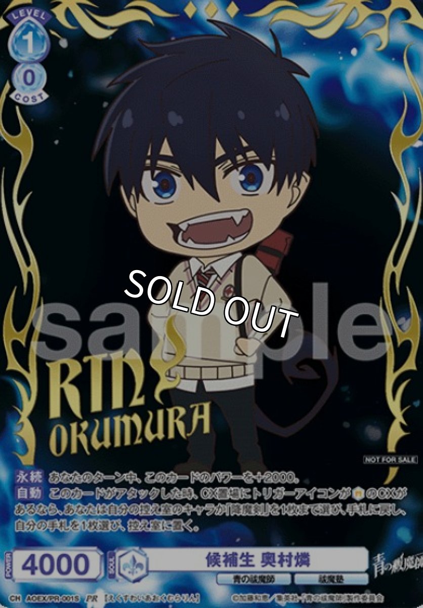 画像1: 【箔押し】PR　候補生　奥村燐 (1)