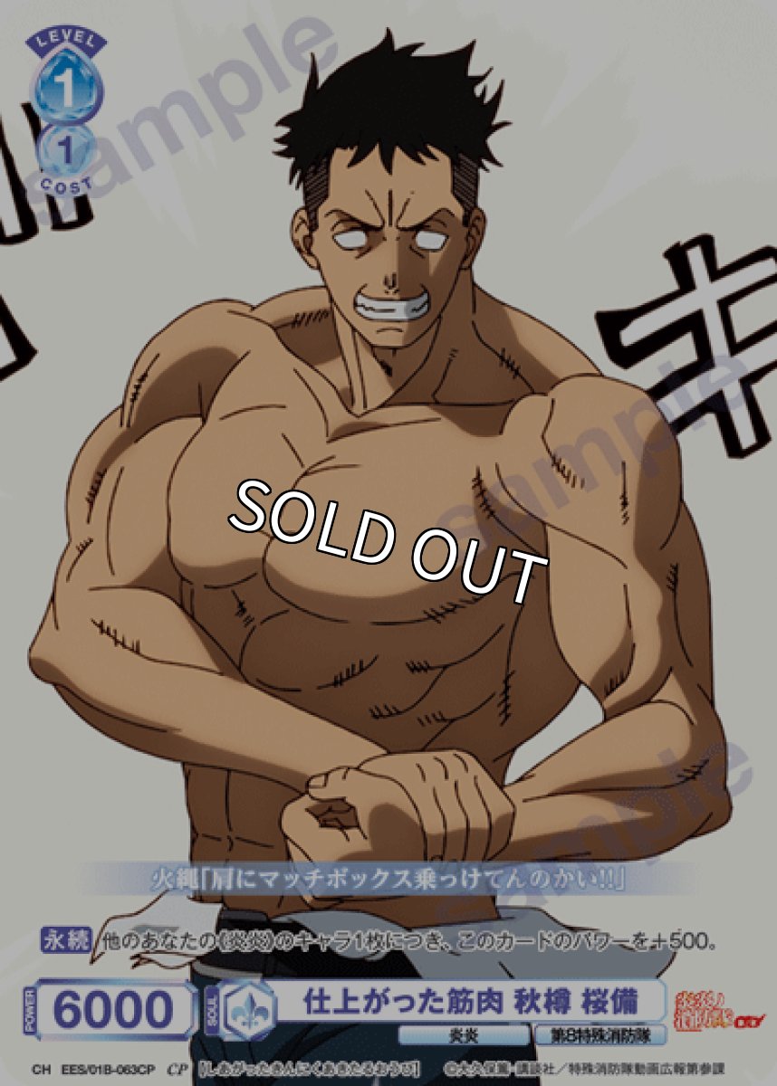 画像1: CP　仕上がった筋肉 秋樽 桜備 (1)