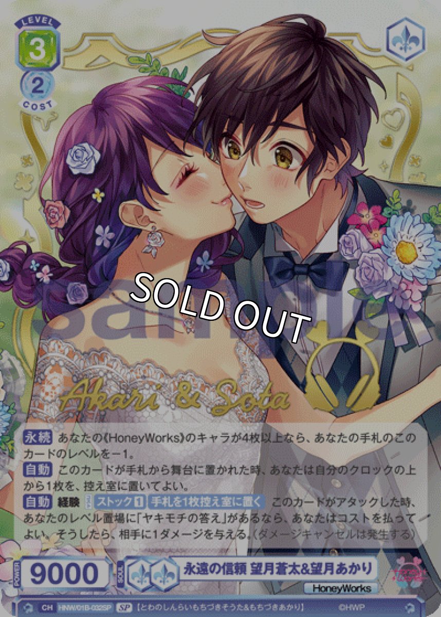 画像1: 【SP】永遠の信頼 望月蒼太&望月あかり (1)