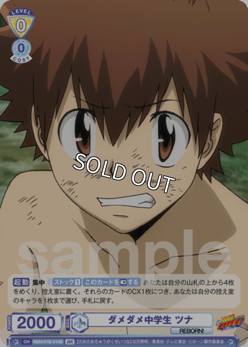 画像1: BR　ダメダメ中学生 ツナ (1)