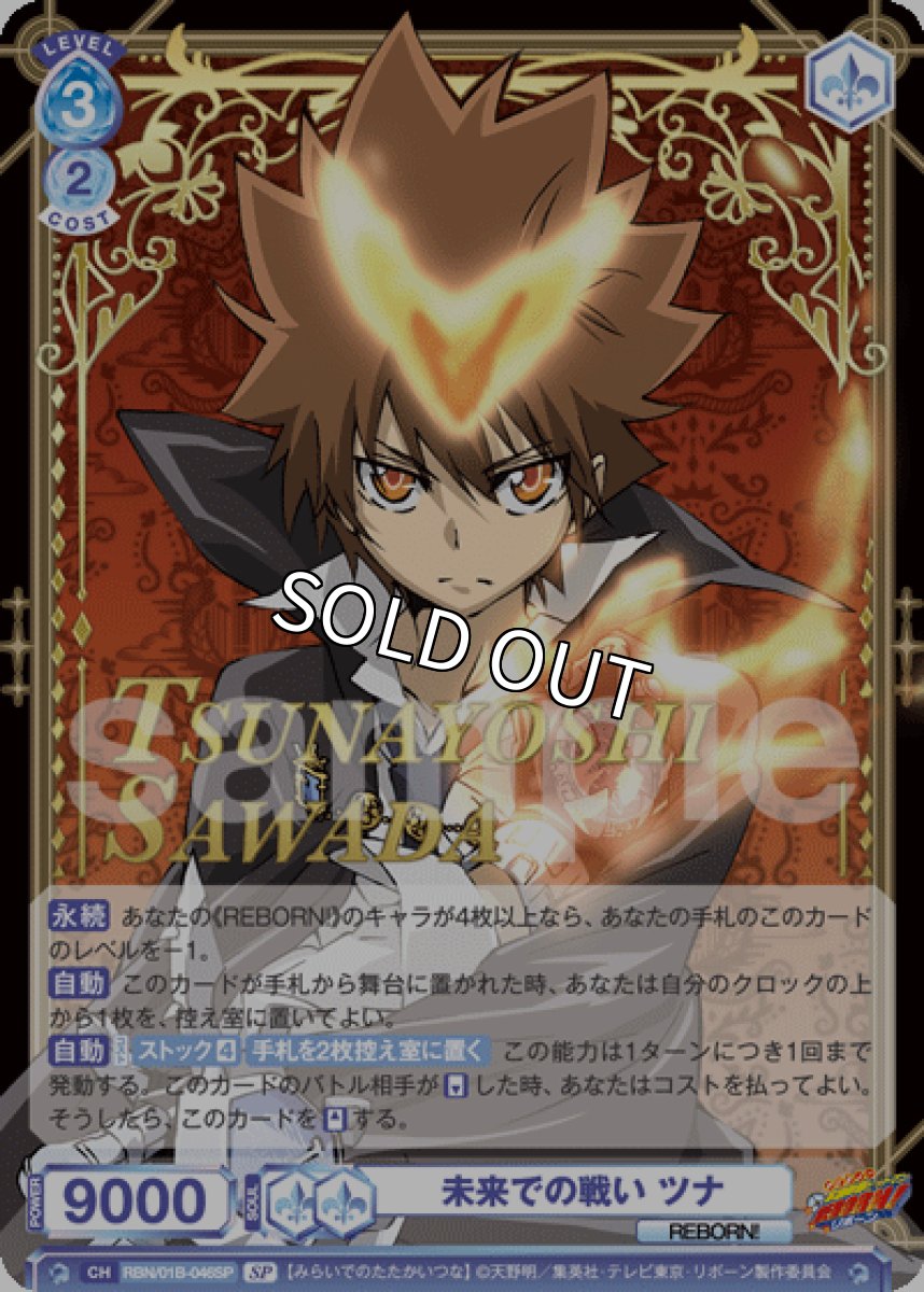 画像1: SP　未来での戦い ツナ (1)