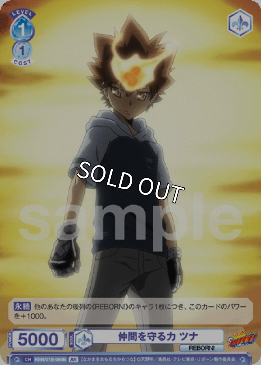 画像1: BR　仲間を守る力 ツナ (1)