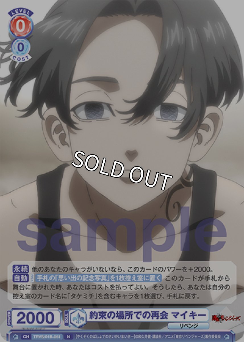 画像1: N　約束の場所での再会 マイキー (1)