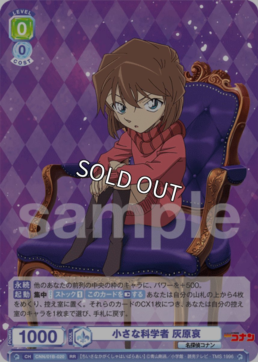 画像1: 小さな科学者 灰原哀 (1)