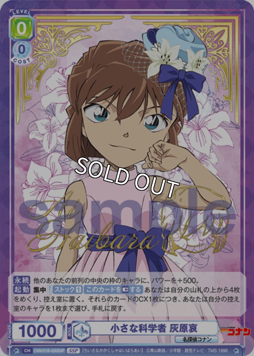 画像1: SSP　小さな科学者 灰原哀 (1)