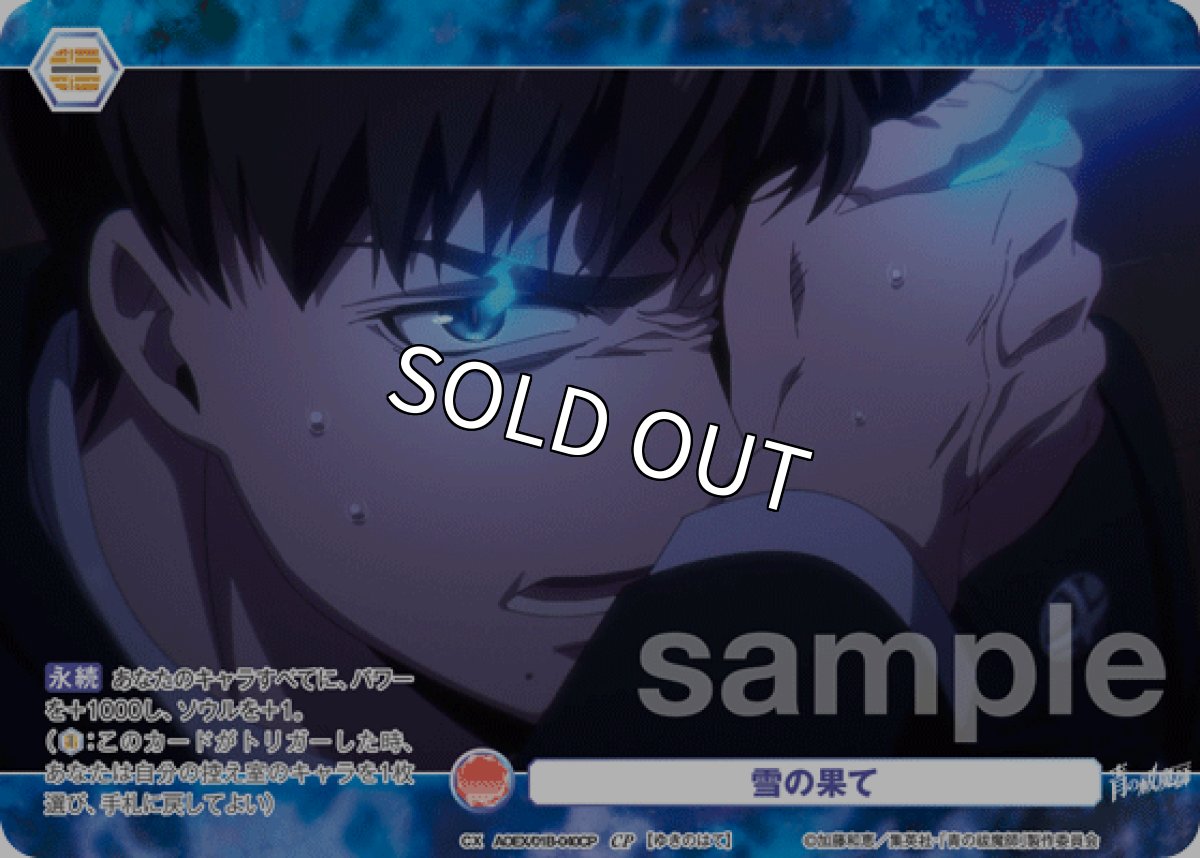 画像1: CP 雪の果て (1)