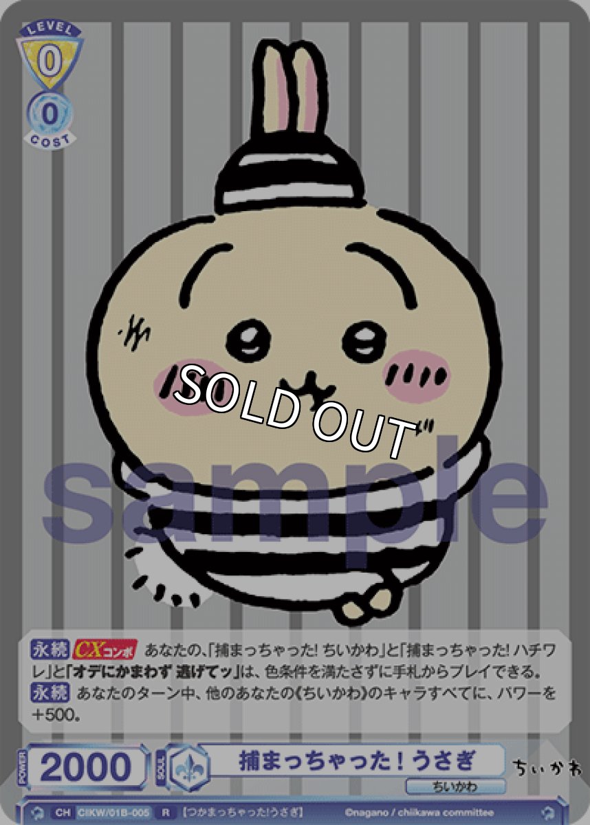 画像1: 捕まっちゃった! うさぎ (1)