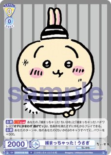 ヴァイス　ちいかわ　Vol.1 ちいかわvol.1』 - トレカっちブラウ＆パルワ通販店｜ヴァイス