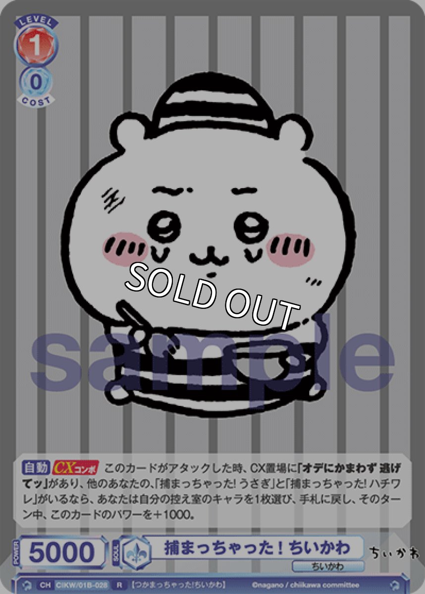 画像1: 捕まっちゃった! ちいかわ (1)