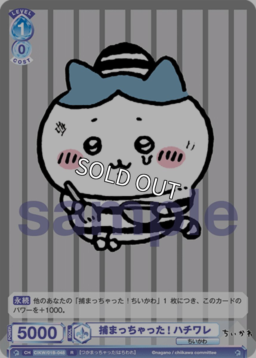 画像1: 捕まっちゃった! ハチワレ (1)