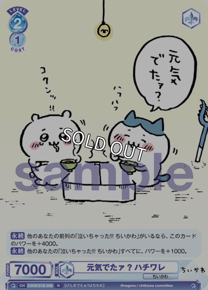 画像1: 元気でたァ? ハチワレ (1)