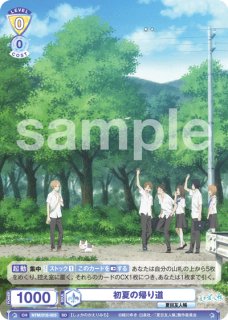 スタートデッキ】 - トレカっちブラウ通販店｜ヴァイスシュヴァルツ