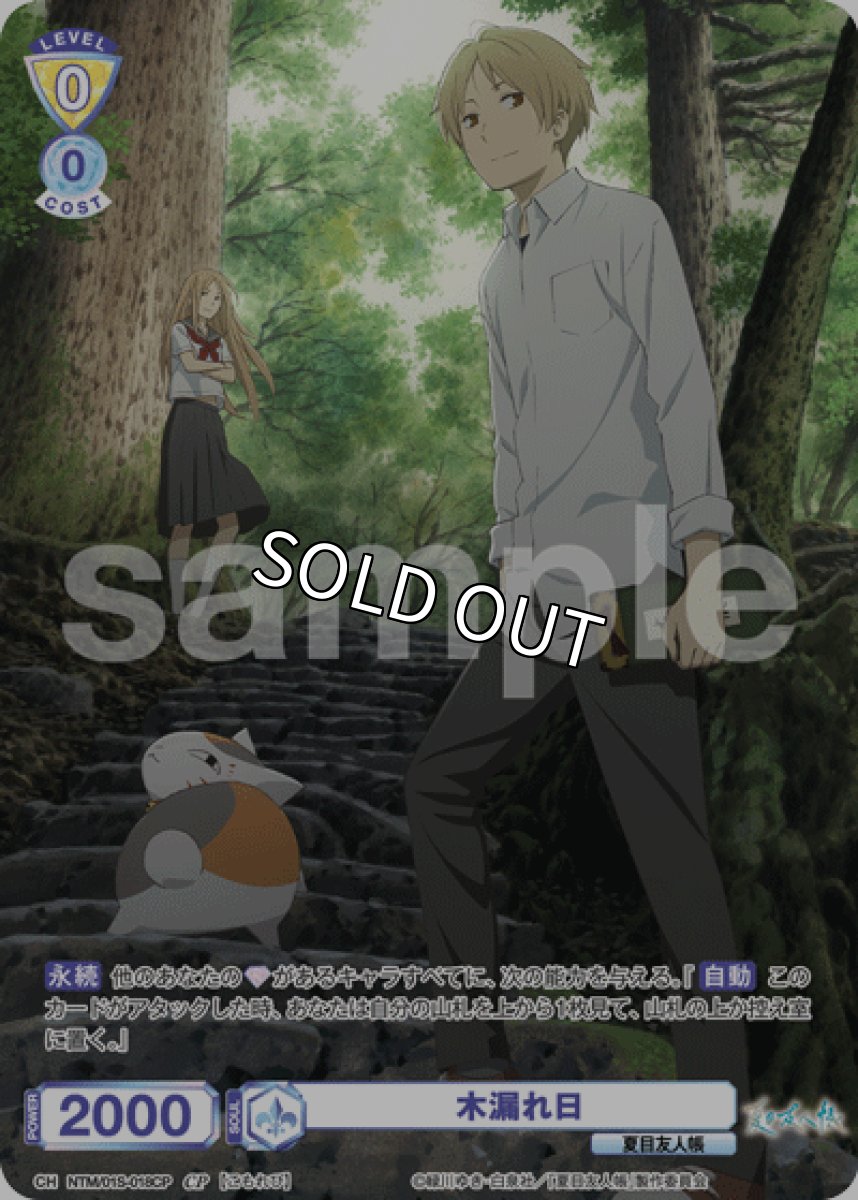 画像1: CP 木漏れ日 (1)