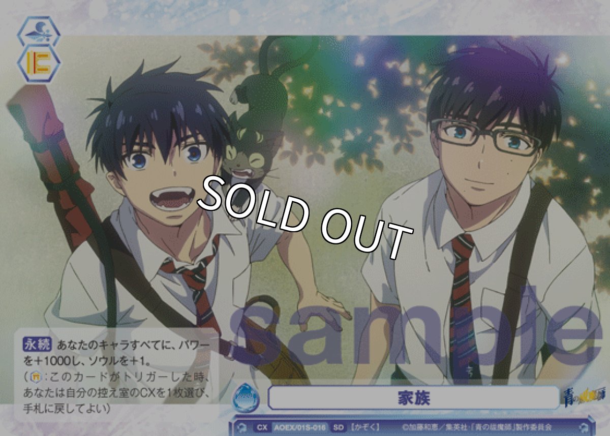 画像1: SD 家族 (1)