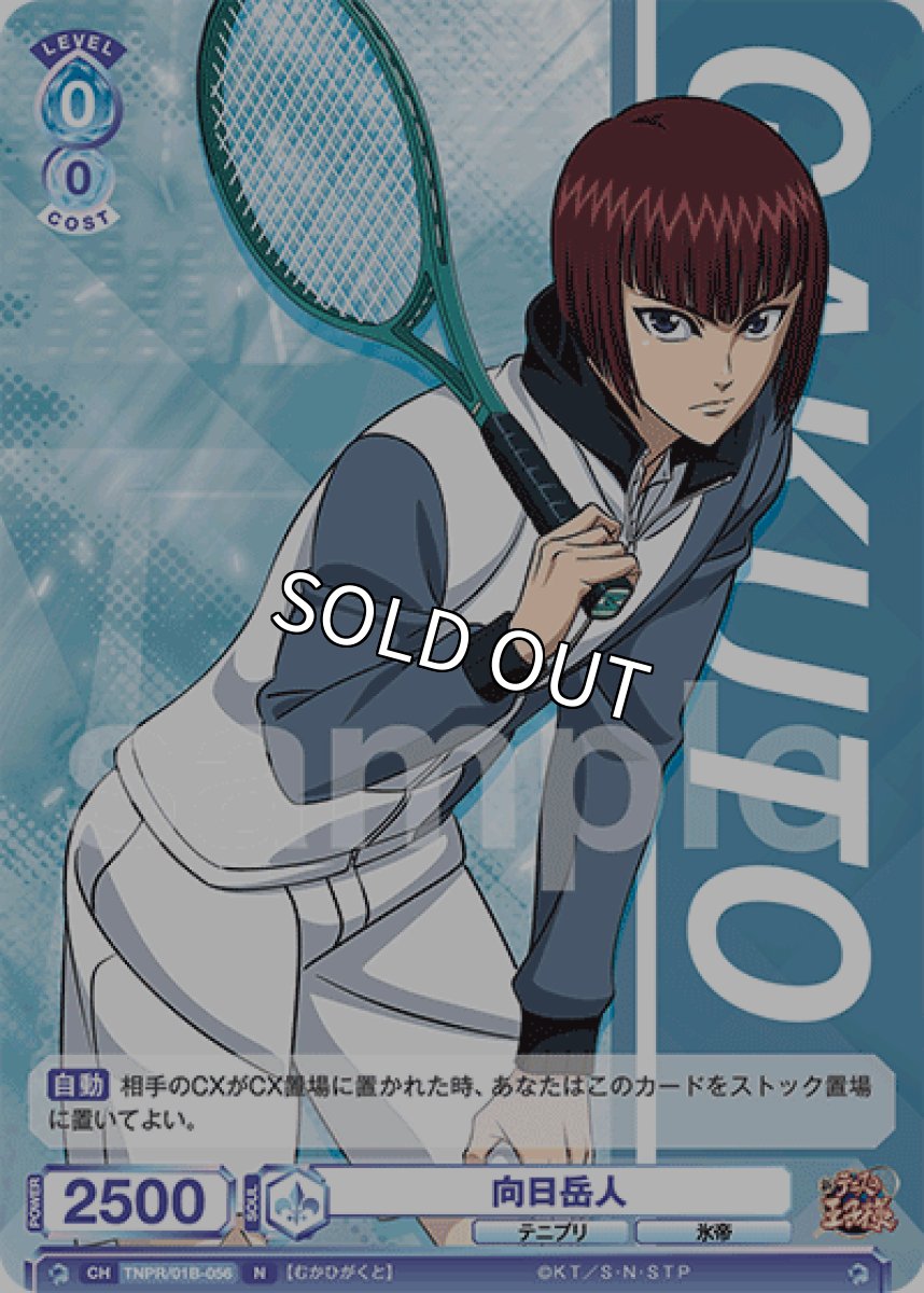 画像1: 向日岳人 (1)