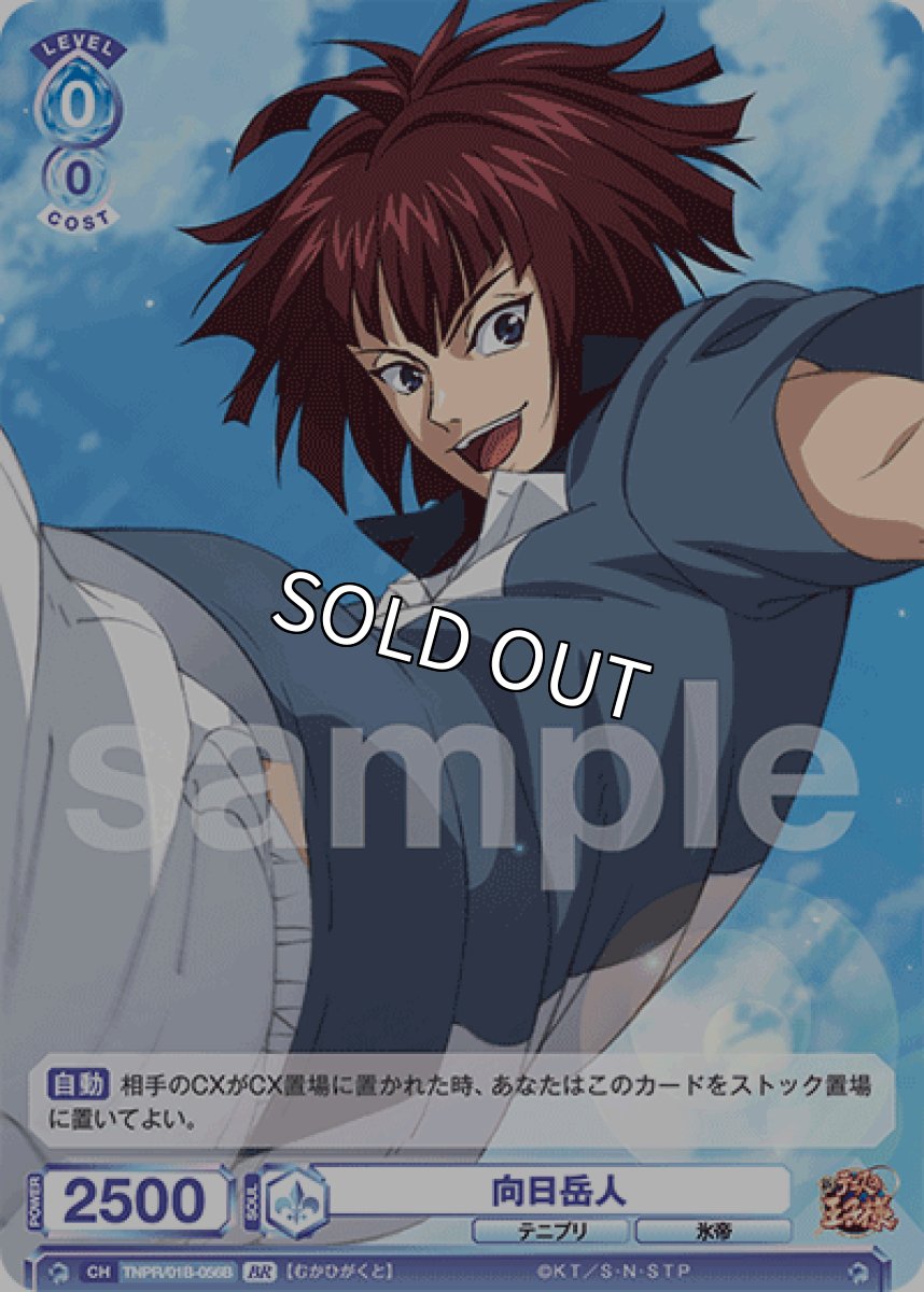 画像1: 【BR】向日岳人 (1)